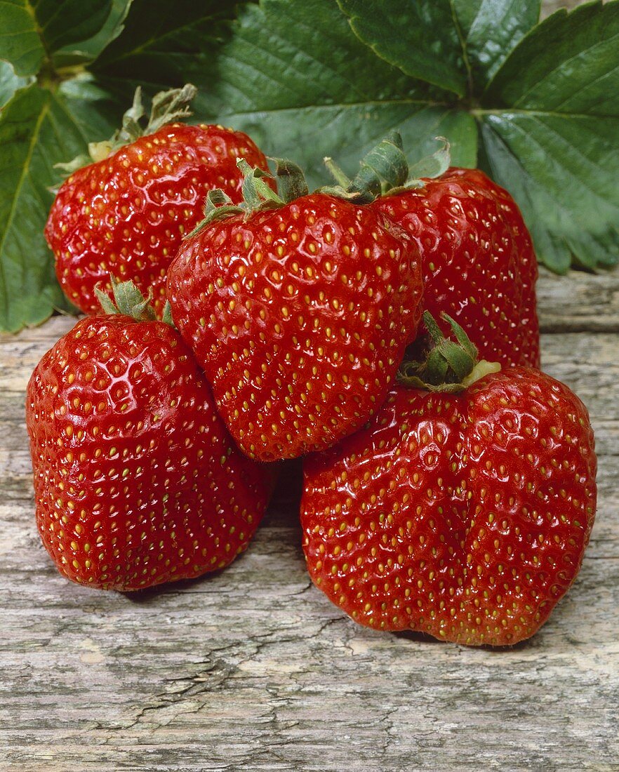 Fünf Erdbeeren der Sorte Elvira