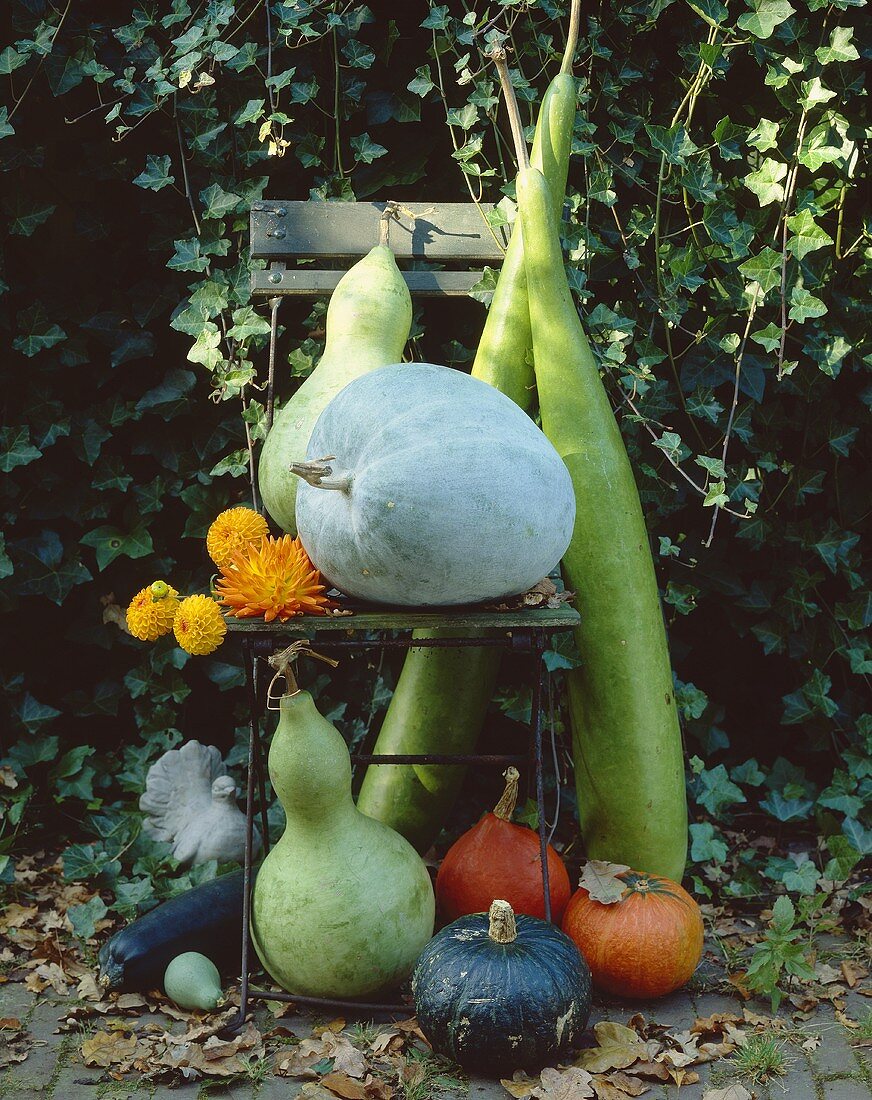 Herbstliche Gartendekoration mit Kürbissen