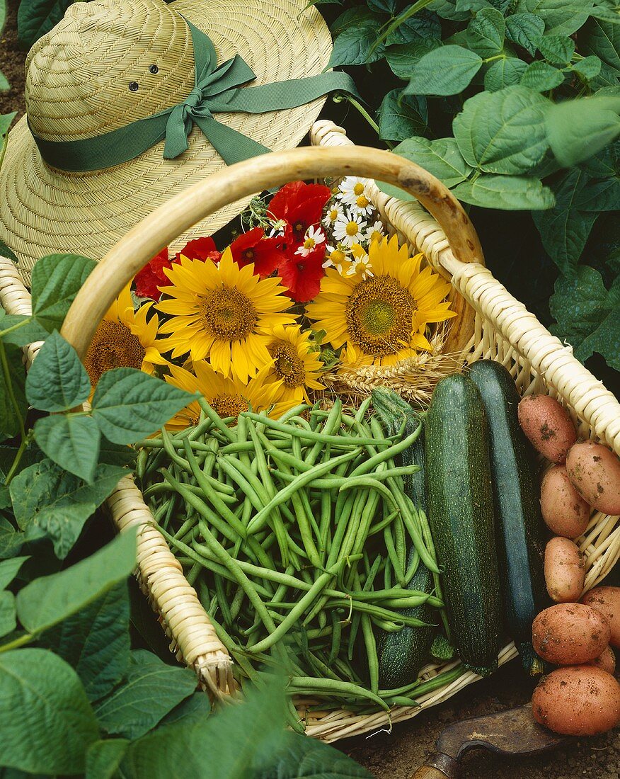 Basket of vegetables and flowers