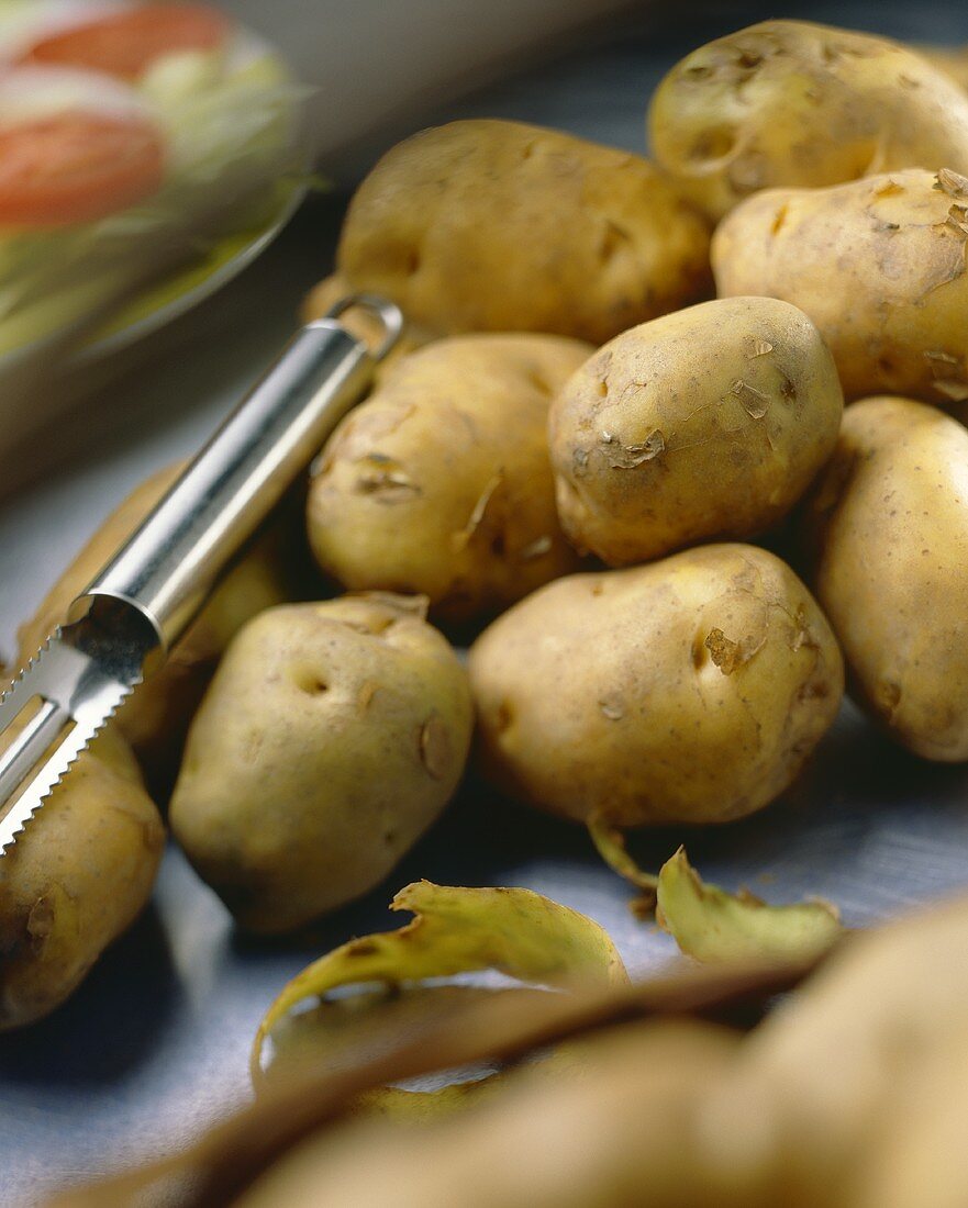 Kartoffeln der Sorte 'Eigenheimer'