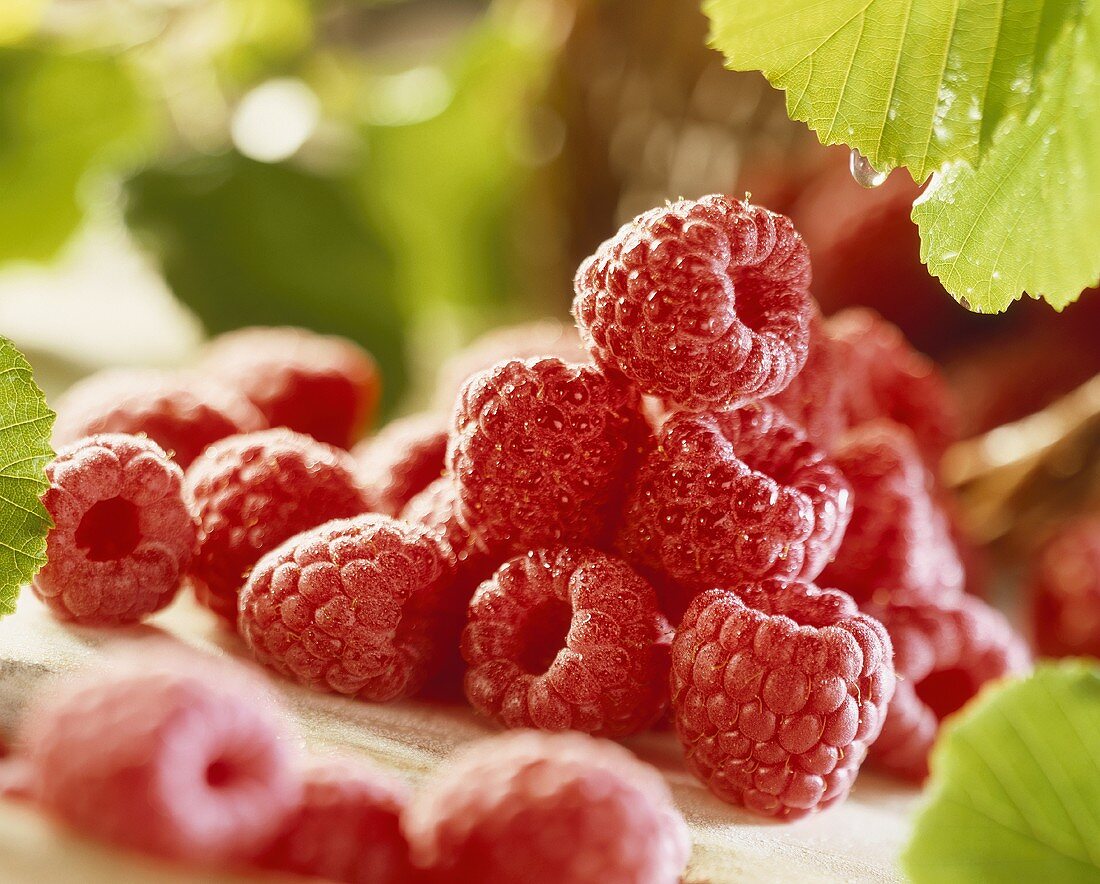 Fresh Raspberries