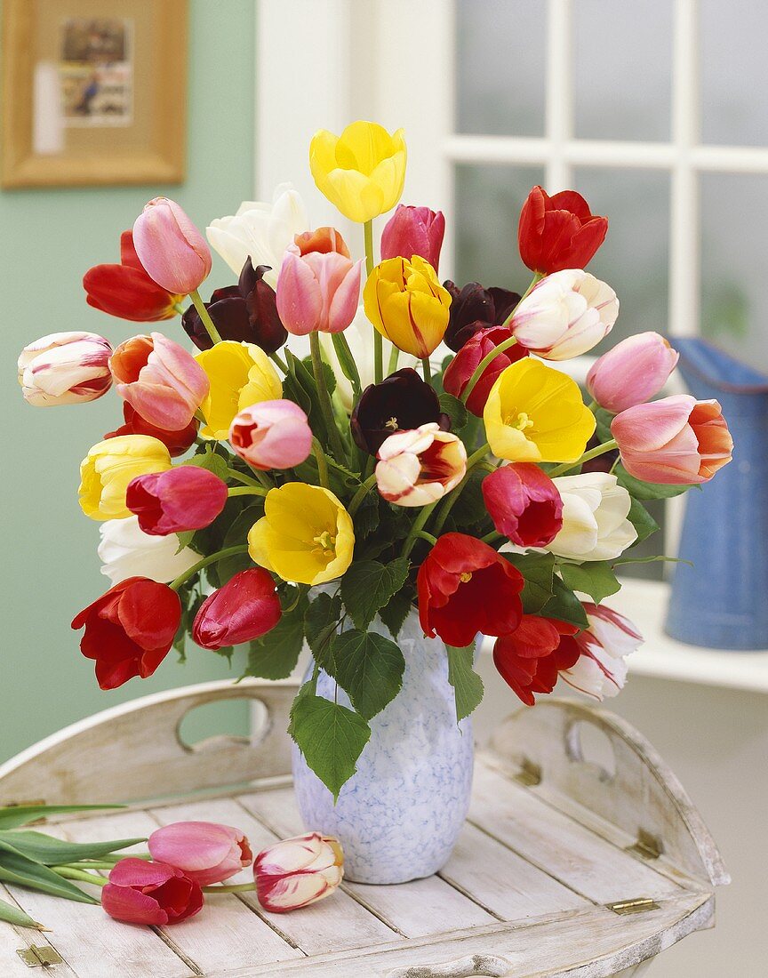 Vase of mixed tulips