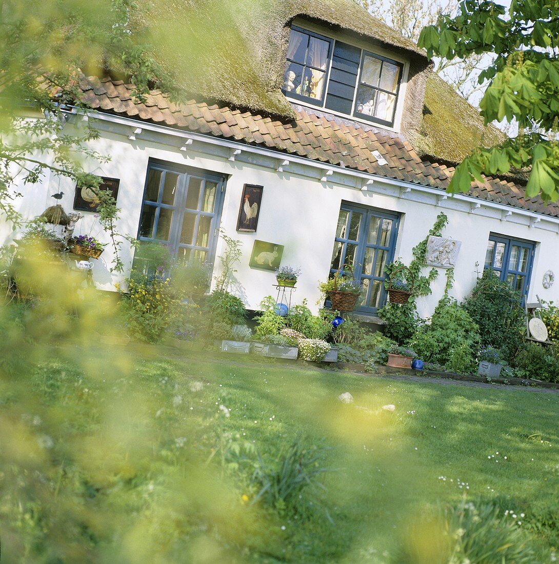 House with garden and lawn