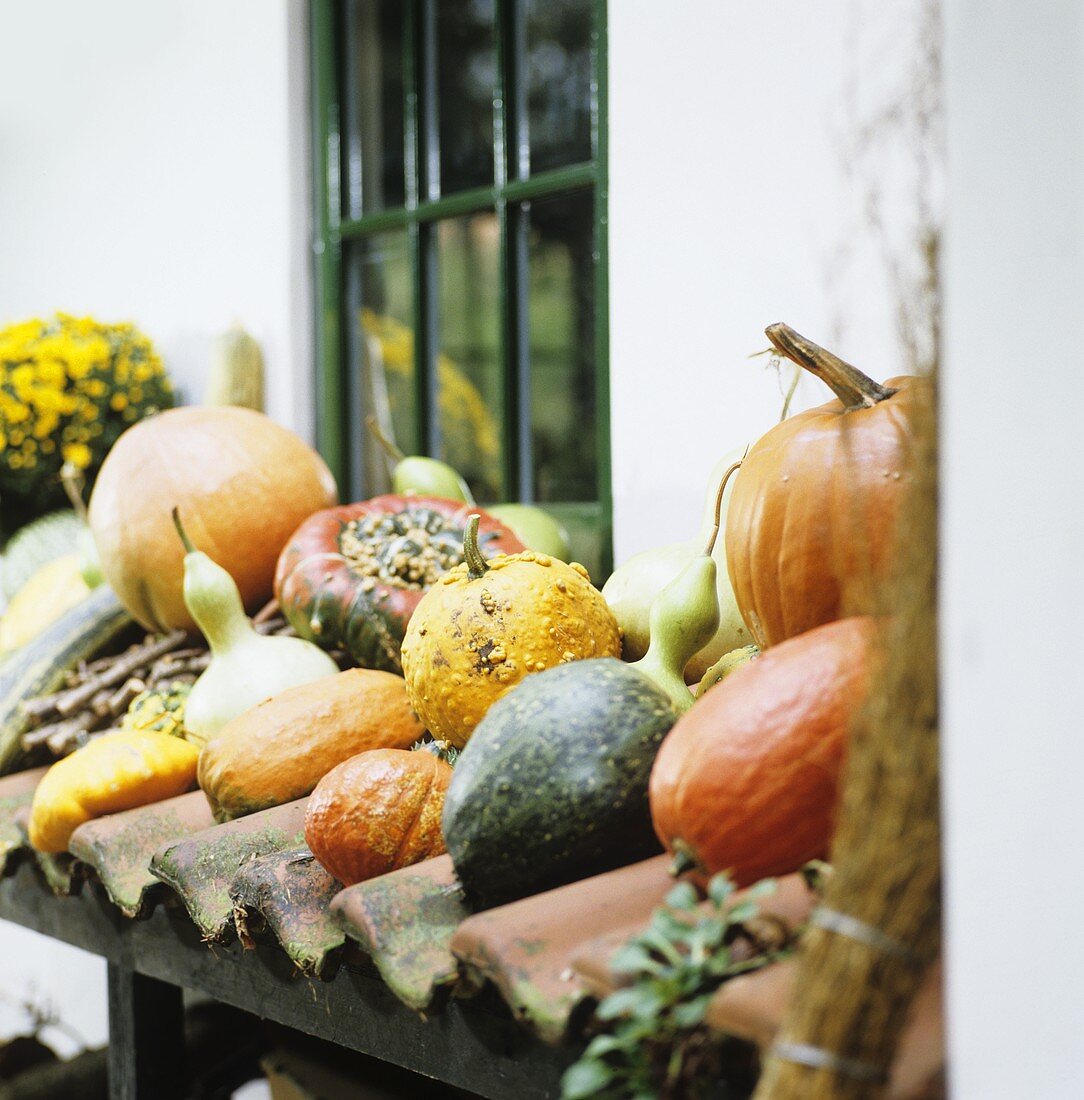 Pumpkins and squashes on storage area by house wall