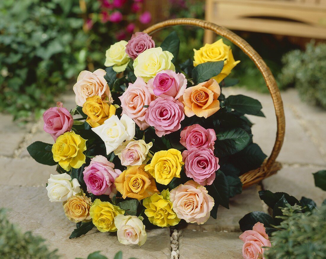 Bouquet of mixed roses