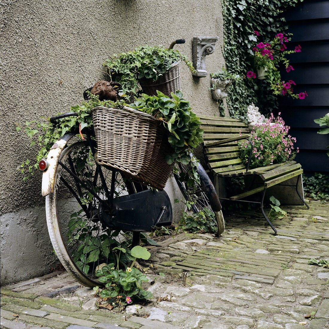 Old bicycle with plants in baskets (garden ornament)