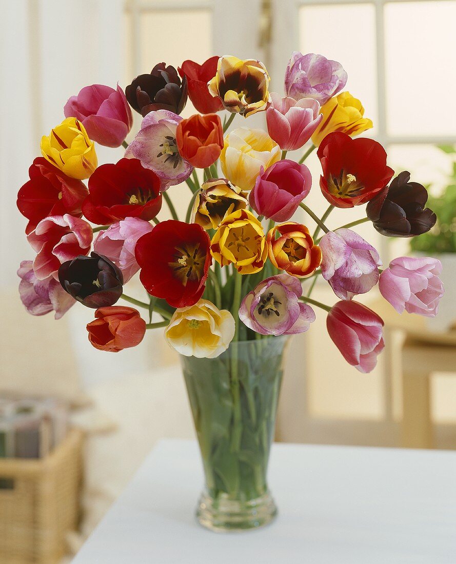 A vase of mixed tulips