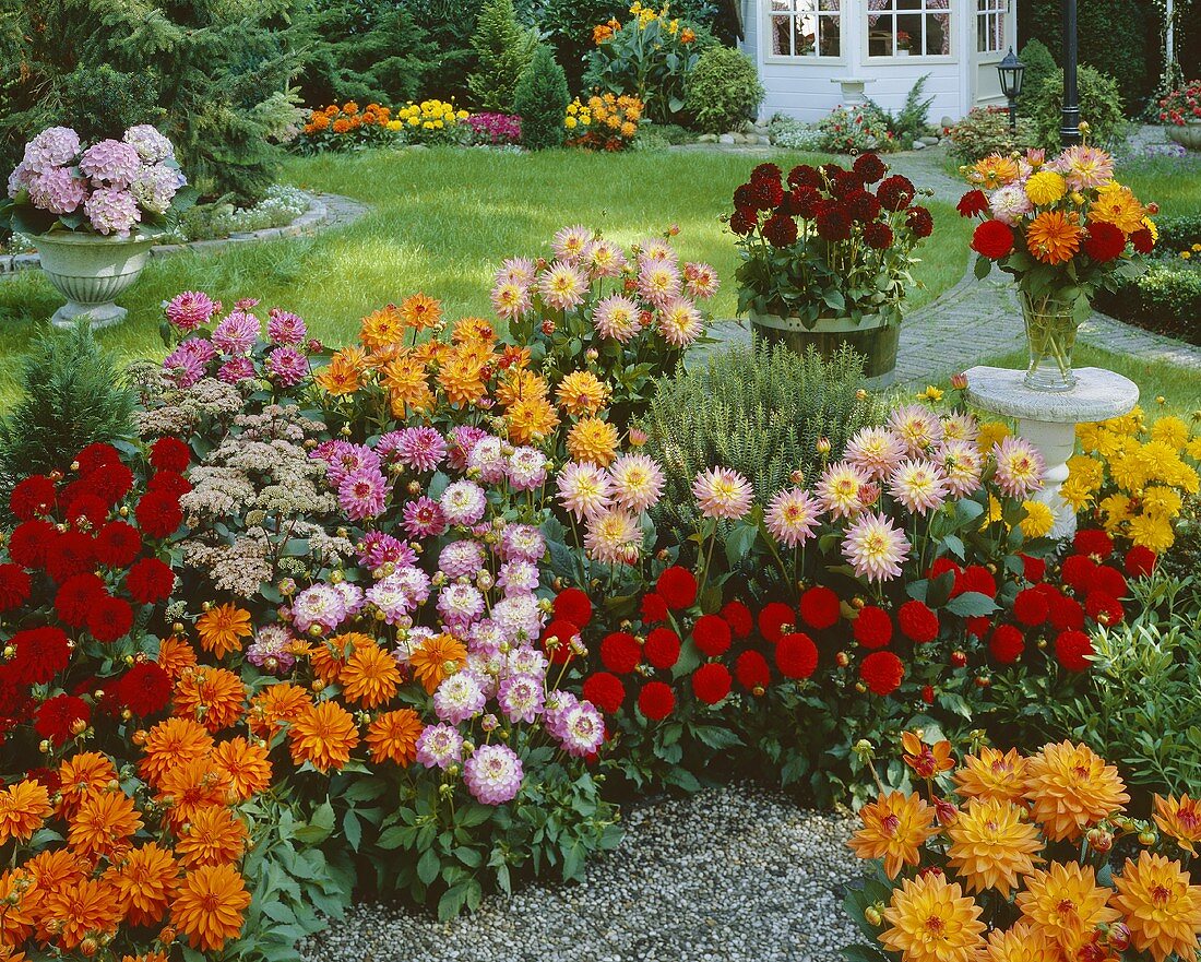 Flower garden