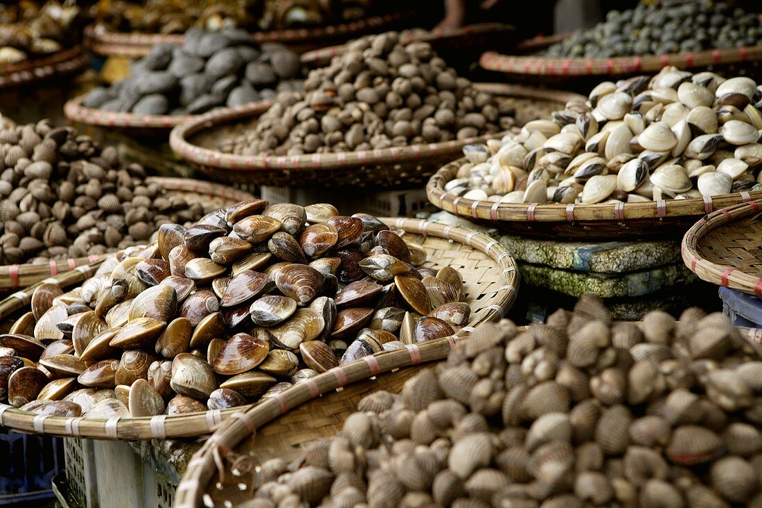 Frische Muscheln auf einen Strassenmarkt in Hanoi, Vietnam