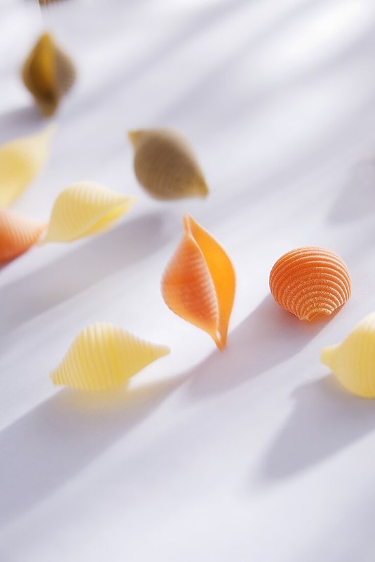 Coloured pasta shells