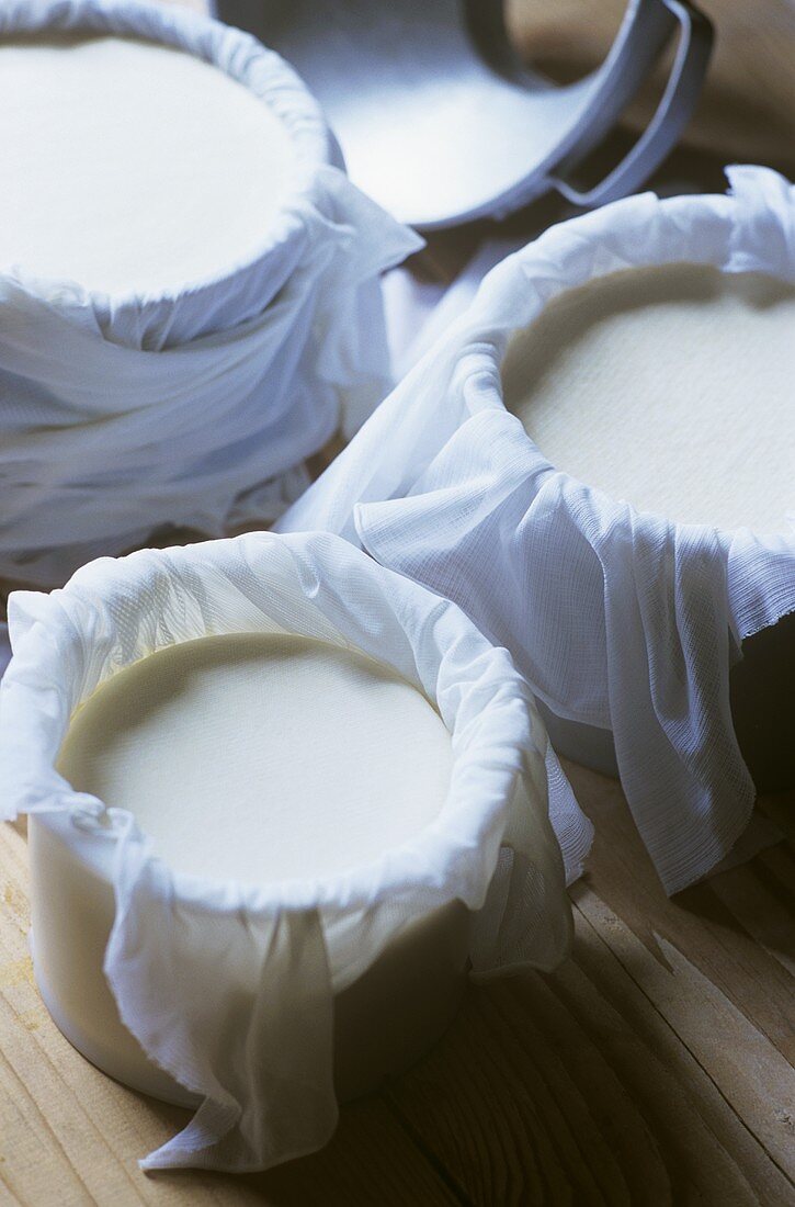 Käseherstellung: Käsemasse mit Mulltüchern in runden Formen