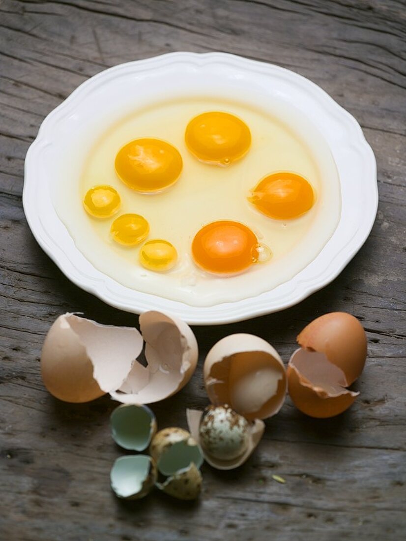 Various kinds of eggs, broken onto plate