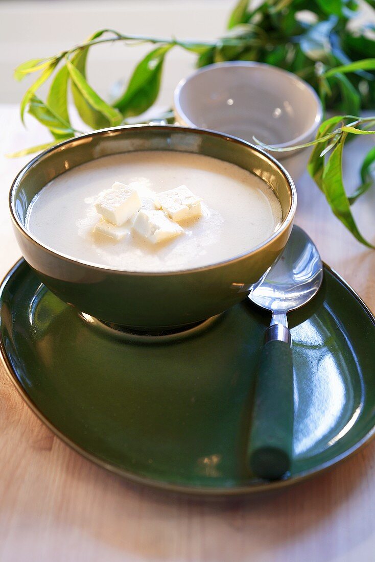 Sheep's cheese soup