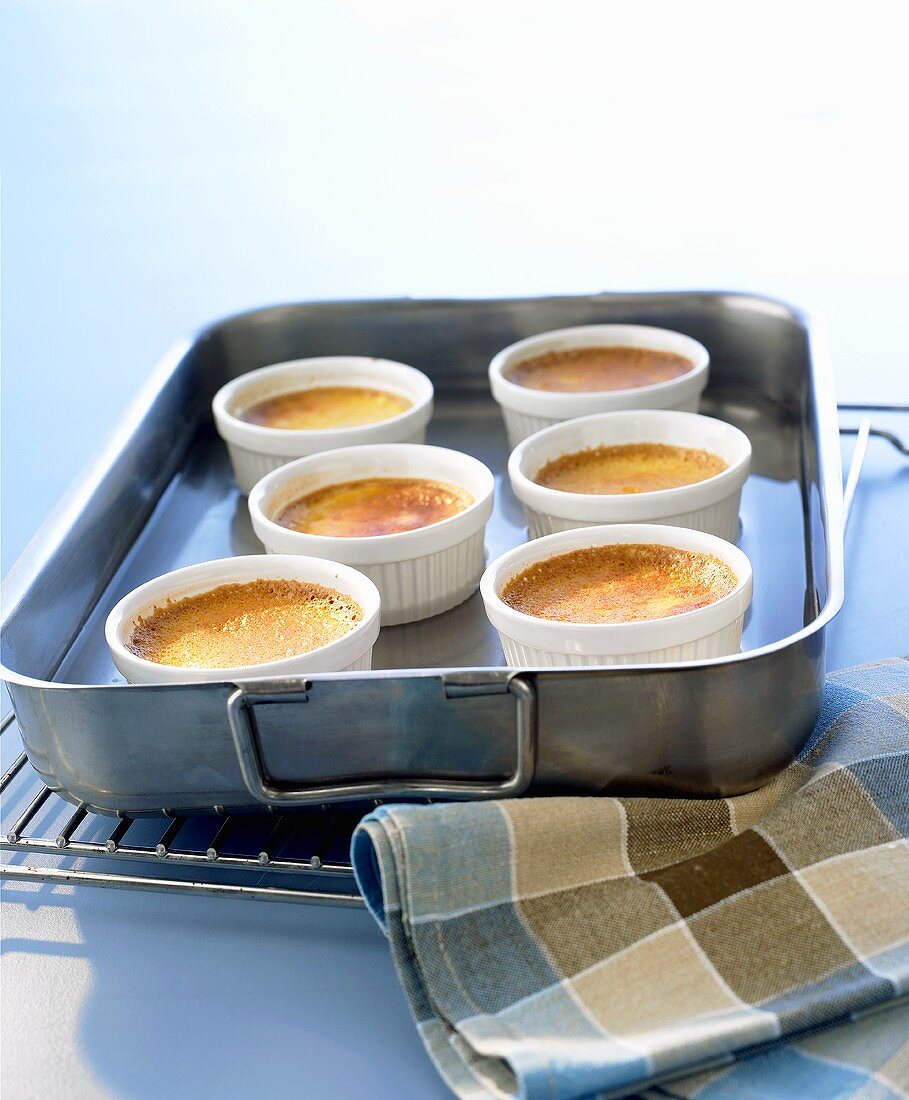 Förmchen mit Crème Caramel im Wasserbad stocken lassen