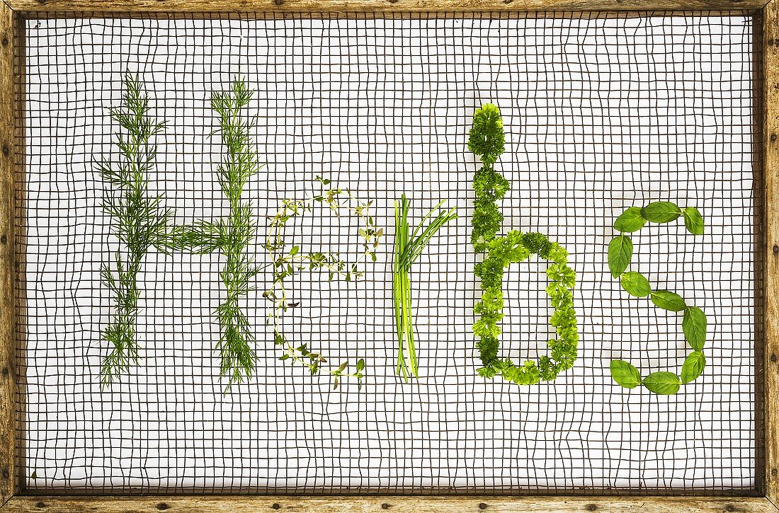 The word 'Herbs' in dill, thyme, chives, parsley, mint