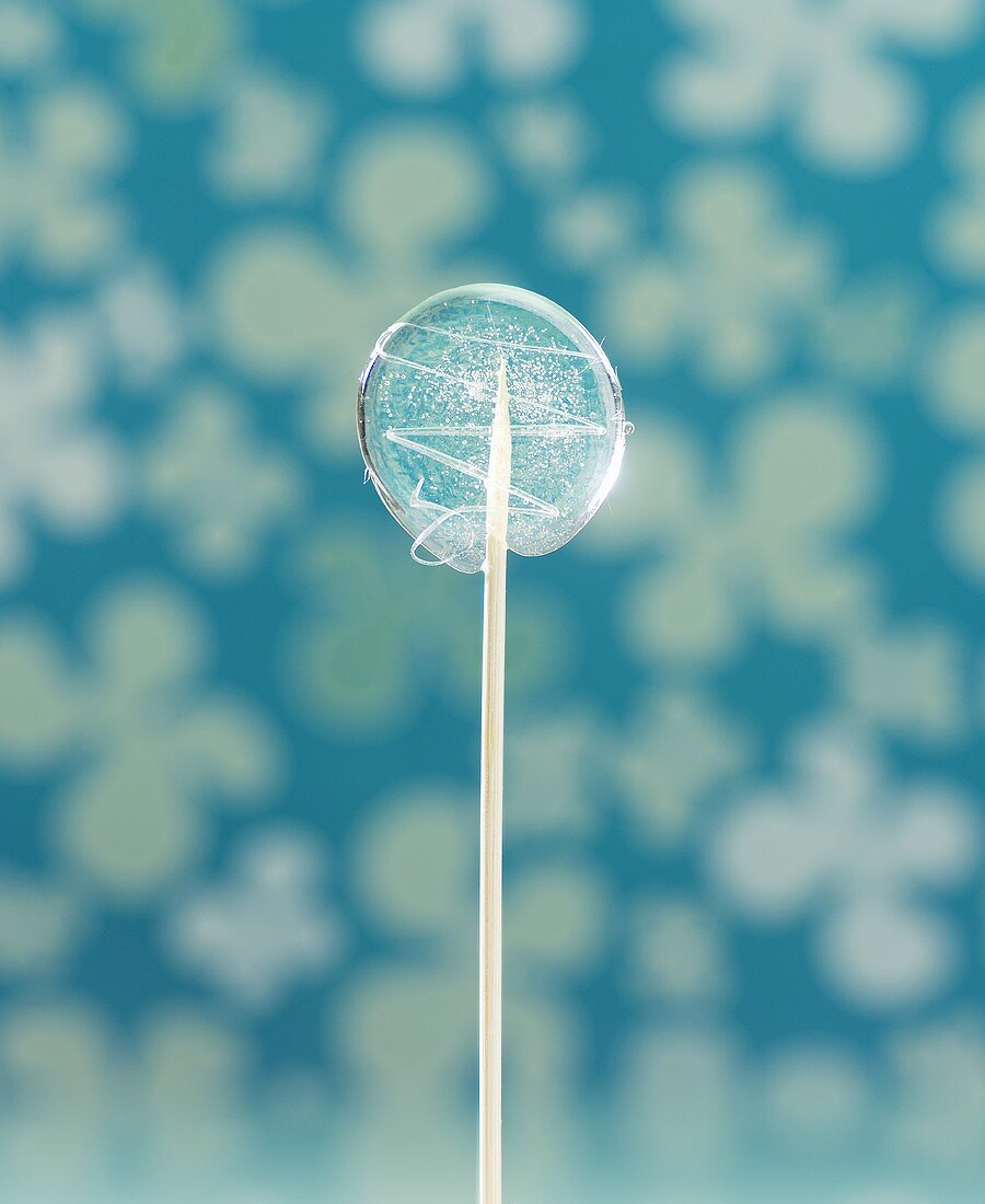 Peppermint lollipop