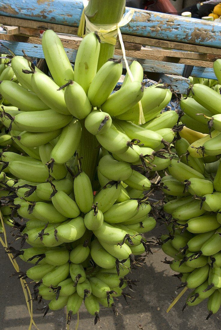 Bunches of bananas at a market in Cambodia