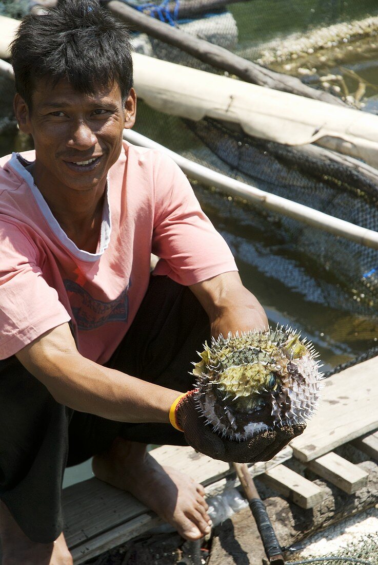 Thailändischer Fischer mit einem Kugelfisch