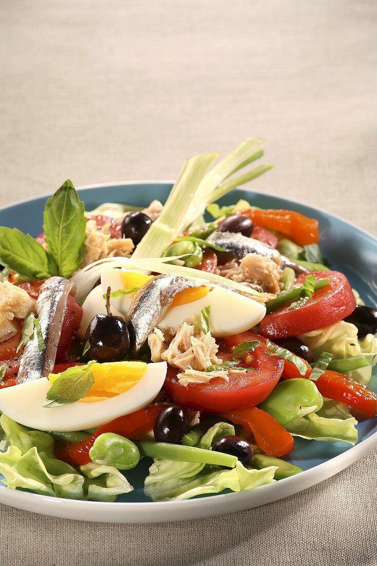 Salade Niçoise (Spezialität aus Nizza, Frankreich)