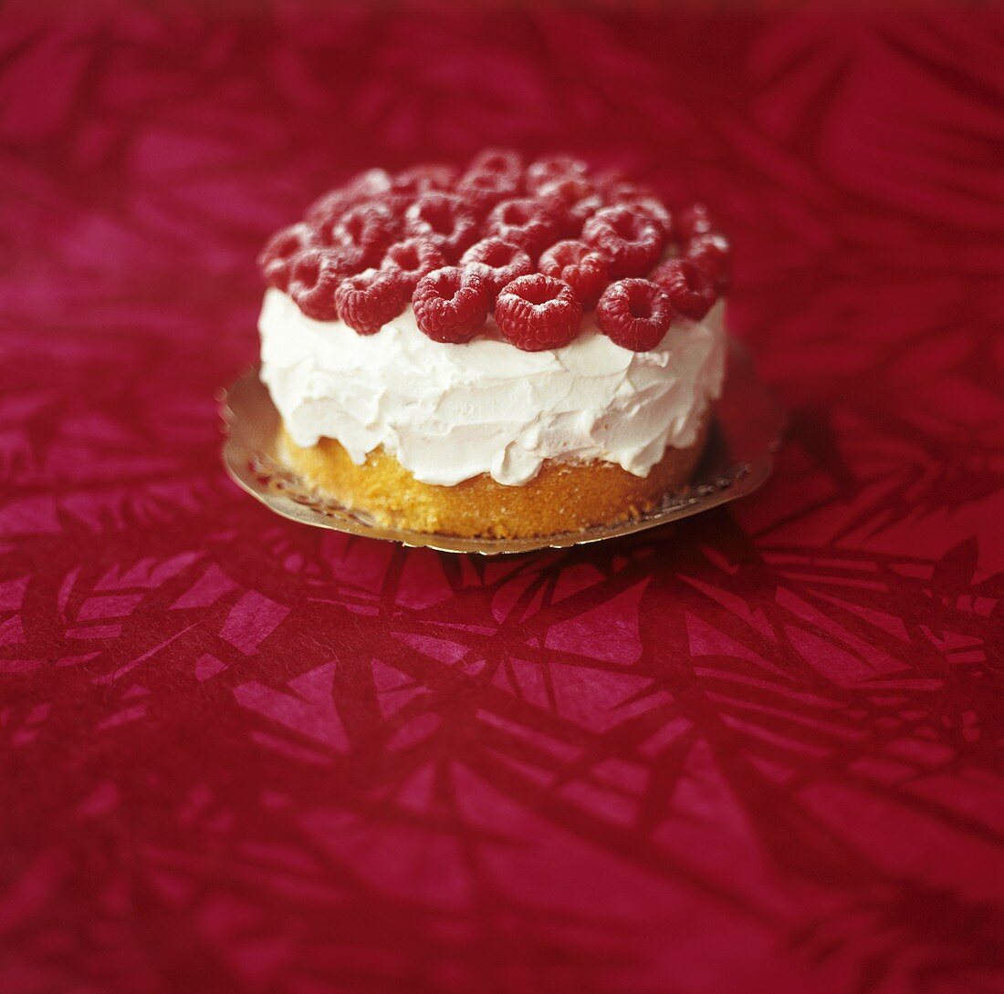 Biskuittorte mit Mascarponecreme und Himbeeren