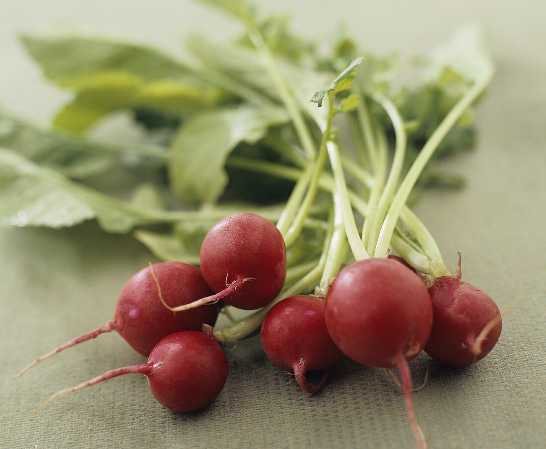 Radishes