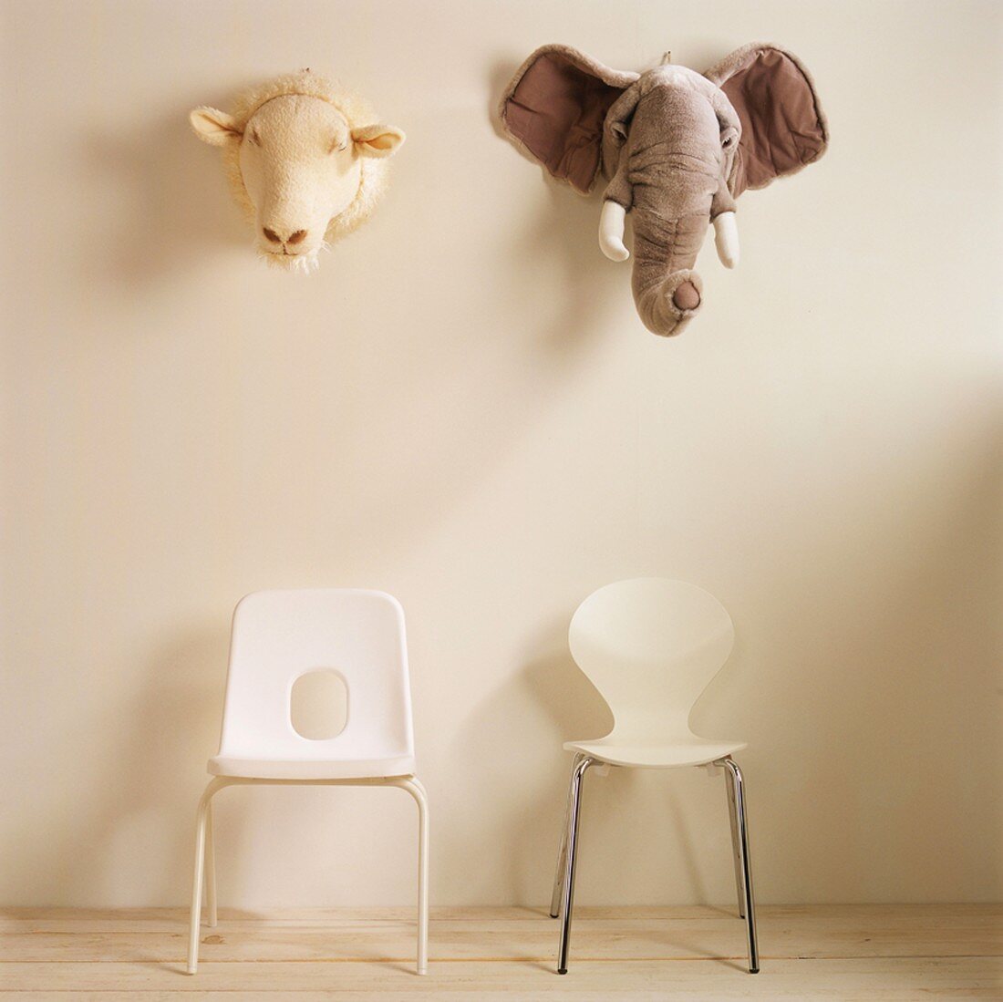 A sheep's head and an elephant's head above two chairs