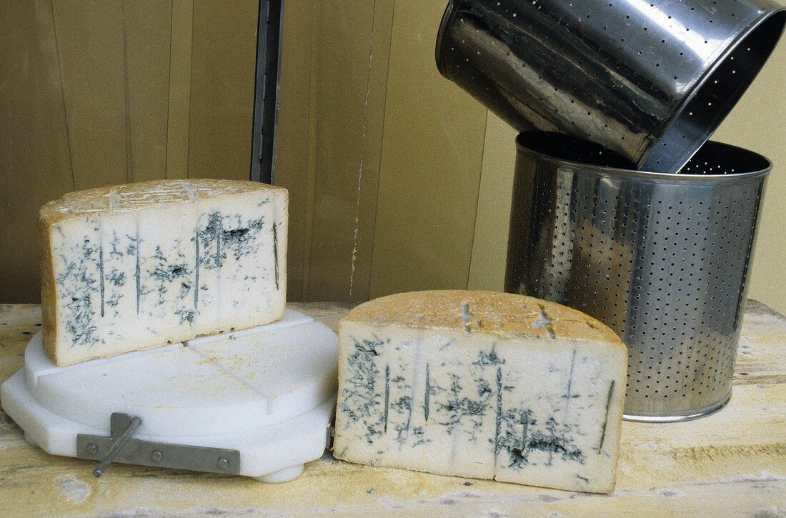 Making Gorgonzola