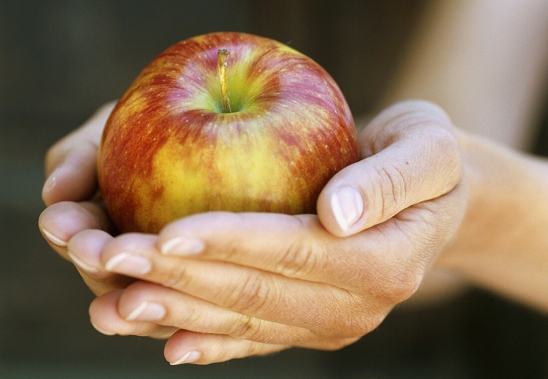 Hands holding an apple