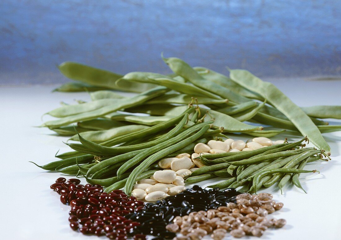 Various types of fresh and dried beans