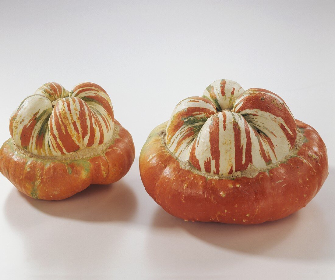 Two Turk's turban squashes (decorative and edible)