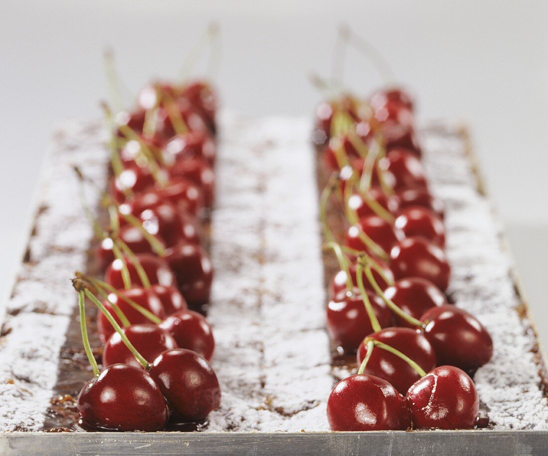 Kirschenplotzer (cherry cake) topped with fresh cherries