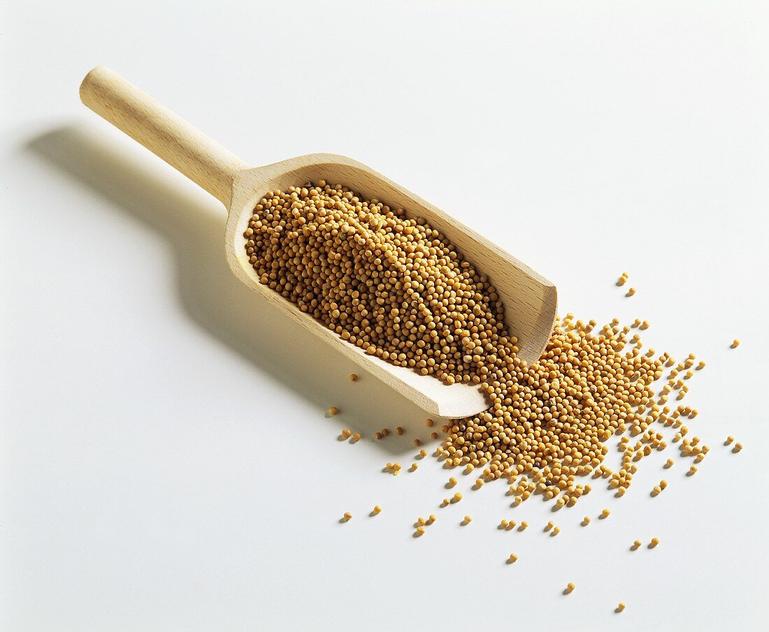 Mustard seeds in a wooden scoop
