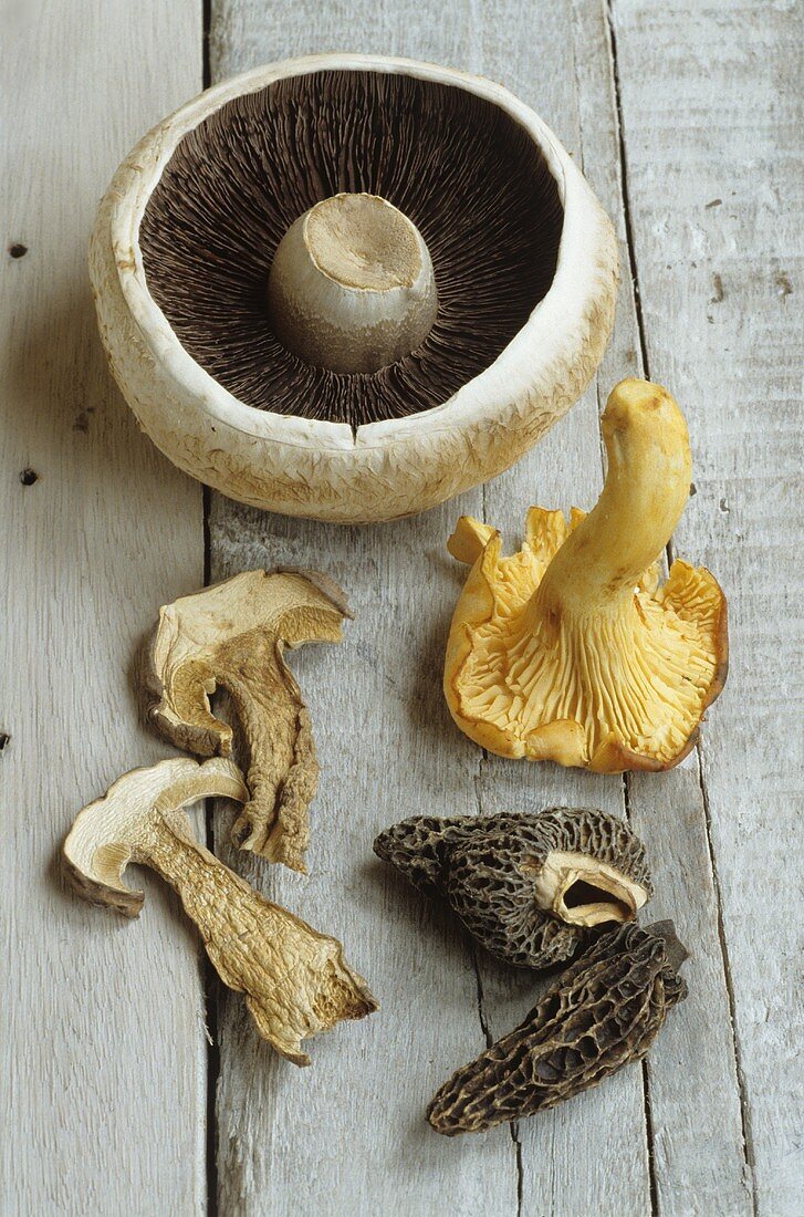 Common mushroom, chanterelle, dried ceps, morels