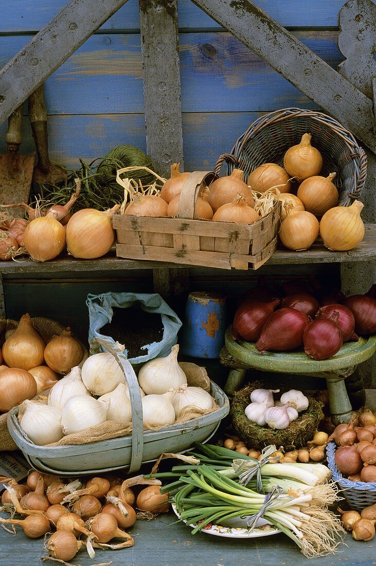 Various types of onions out of doors