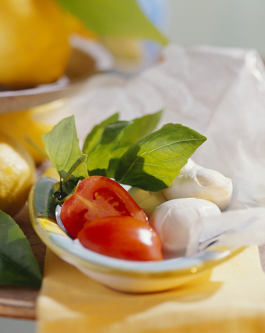 Still life with mozzarella, tomatoes and basil