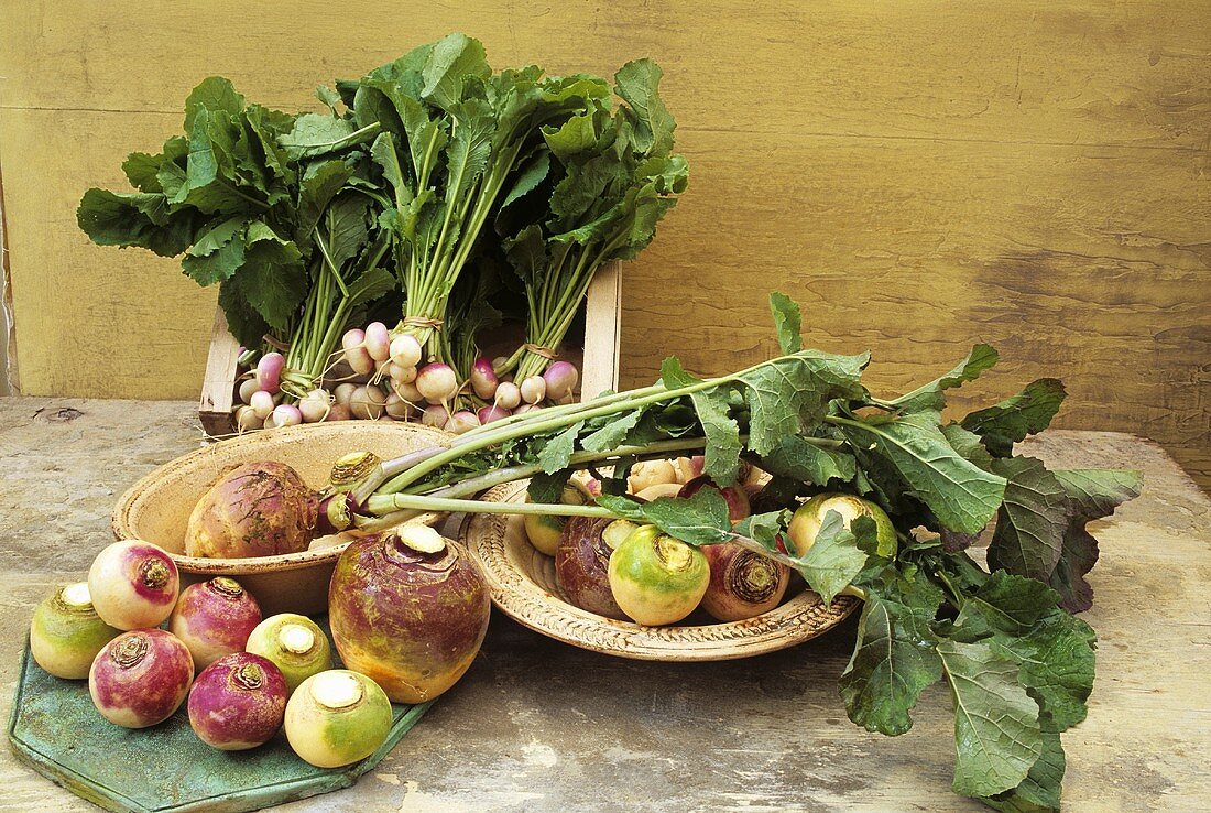 Various types of turnip in dishes on a stone slab