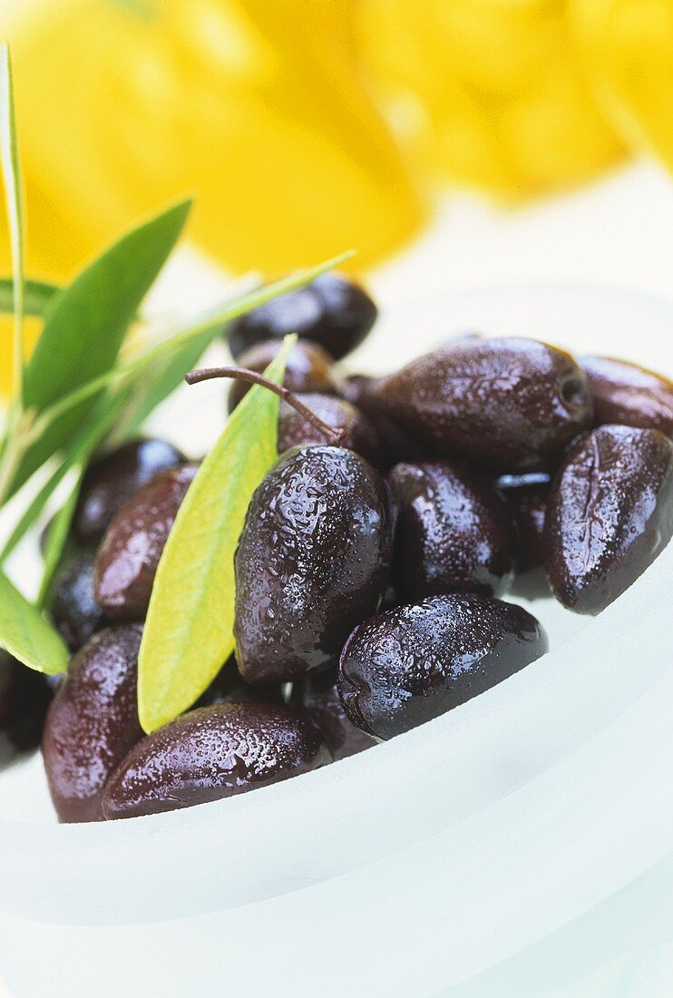Schwarze, eingelegte Oliven mit Olivenblättern in Schälchen