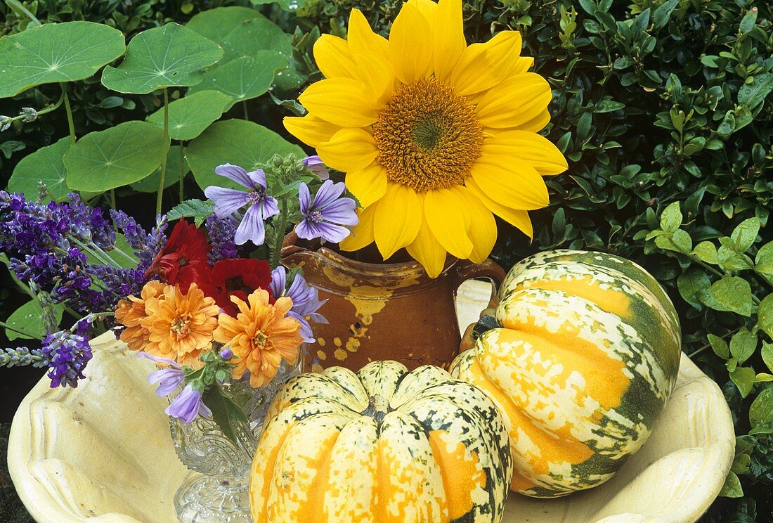 Autumn still life of pumpkins and flowers out of doors