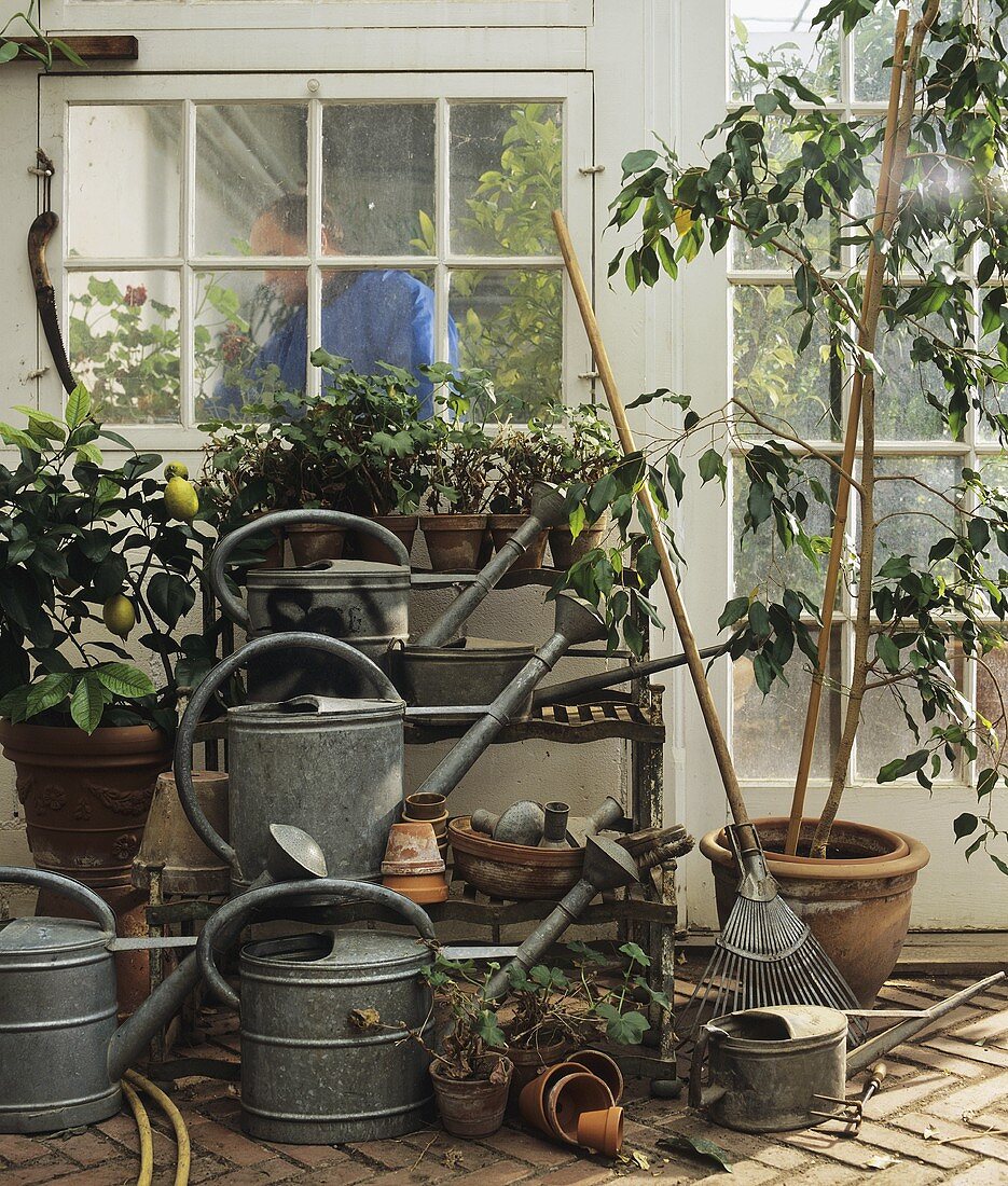 Giesskannen, Gartengeräte und Pflanzen vor einem Gewächshaus