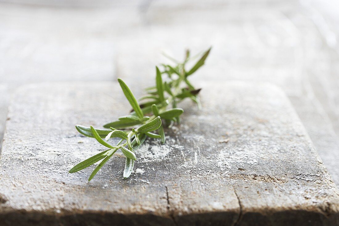 A sprig of rosemary on a wooden board
