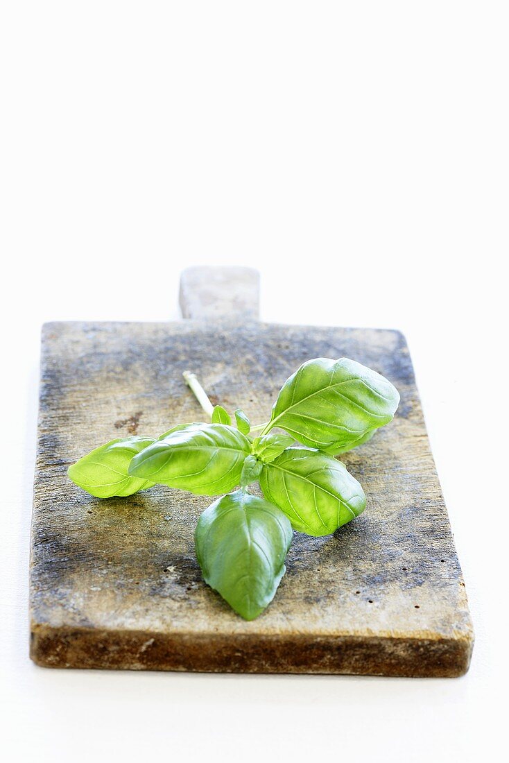 A sprig of basil on a wooden board