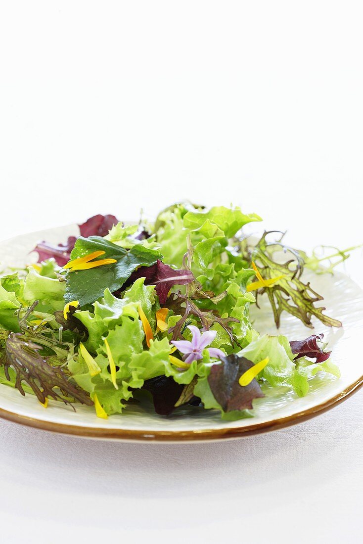 Mixed salad leaves with edible flowers