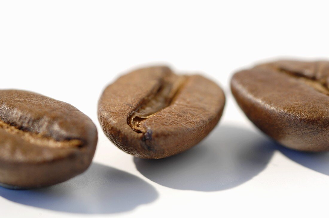Three coffee beans (close up)