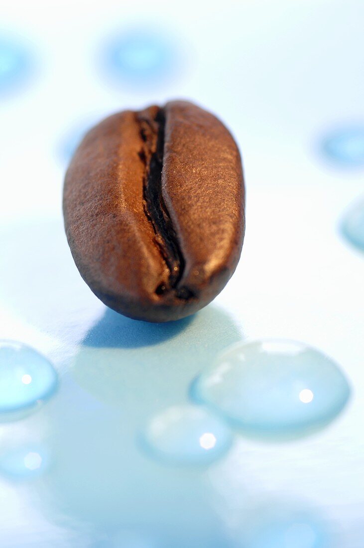 Water drops and a coffee bean (close up)