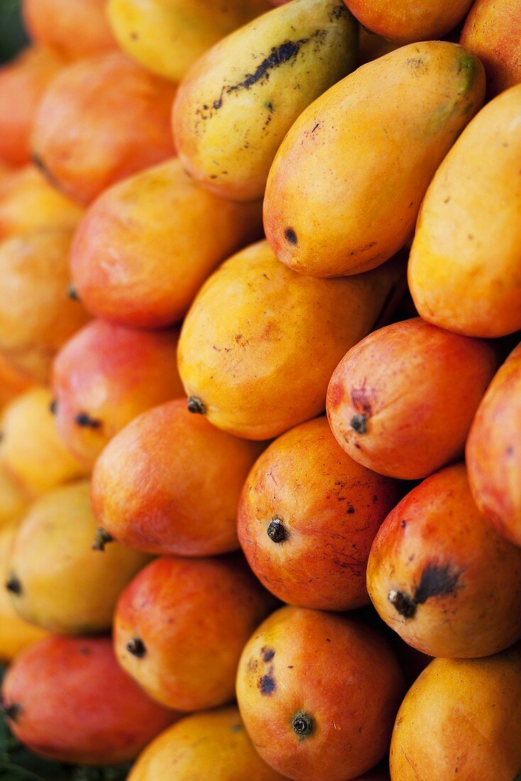 A stack of Petacon mangoes