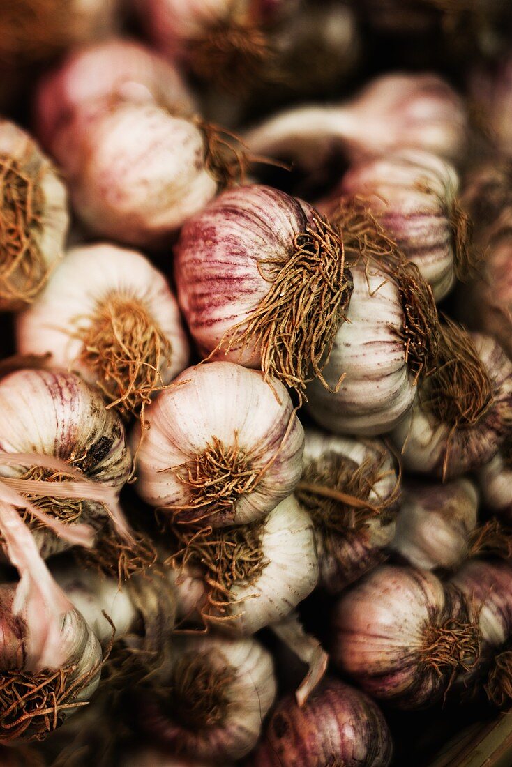 Fresh garlic on a market stall