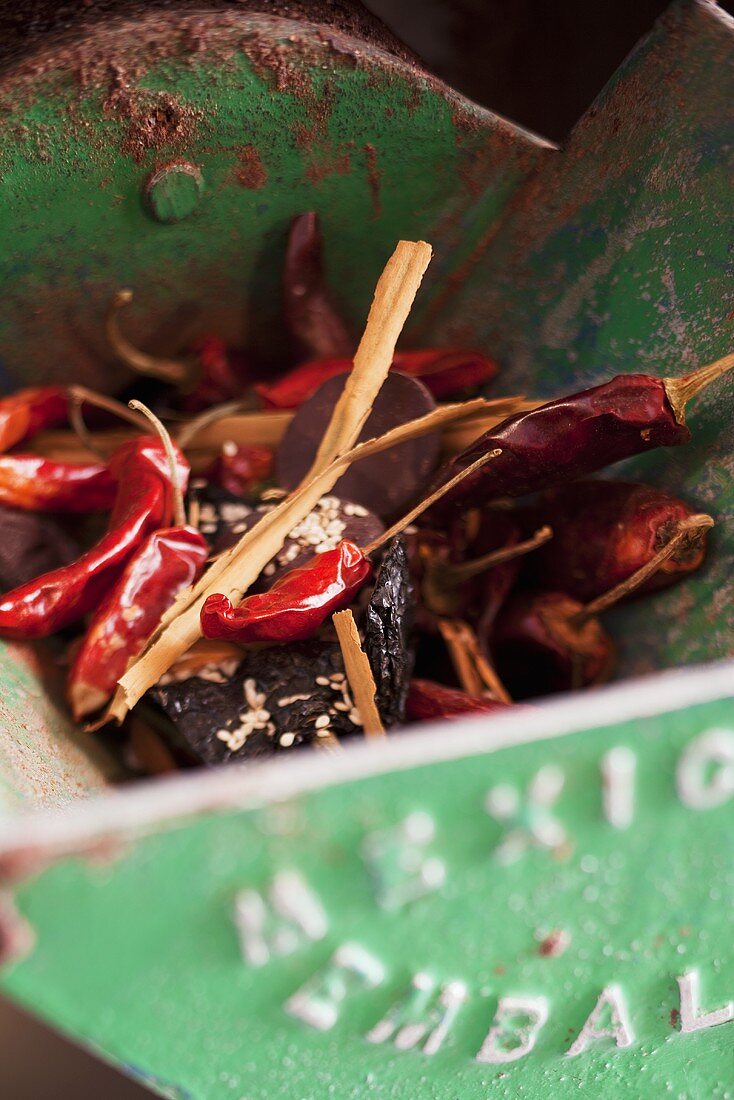 Ingredients for mole (Mexico)