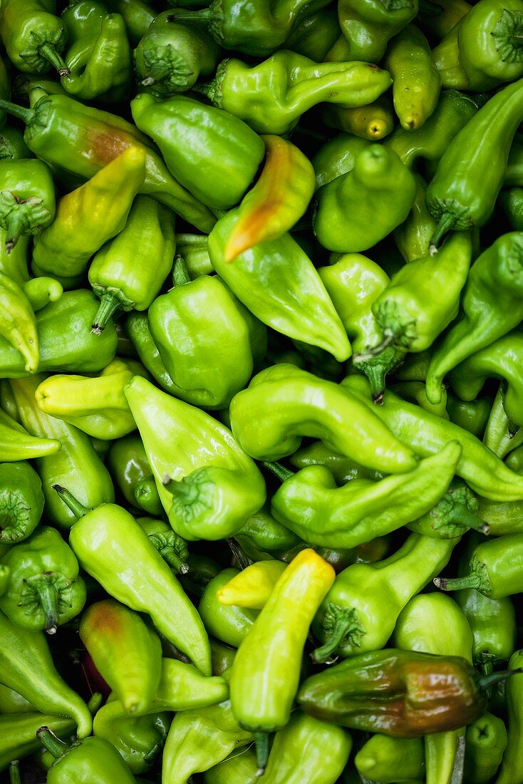 Lots of green chilli peppers at the market