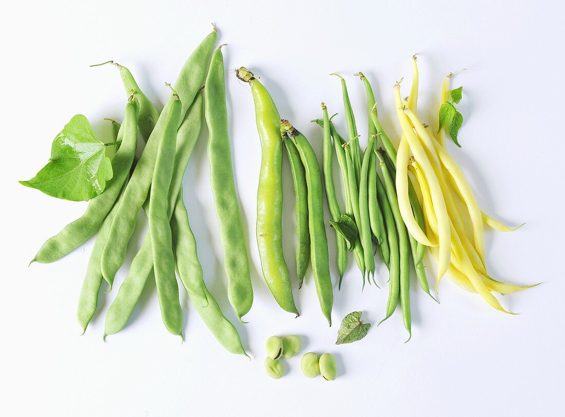 Various types of beans