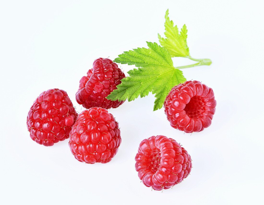 Fünf Himbeeren und Himbeerblatt